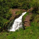 Warner Falls Spring