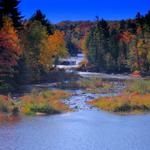 Lower Tahquamenon Falls 1