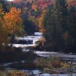 Lower Tahquamenon Falls  2