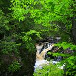 Powderhorn Falls Upper 1