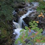 Powderhorn Falls in Summer