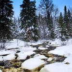 Tioga Creek In Winter 1