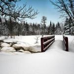 Tioga Creek In Winter 2